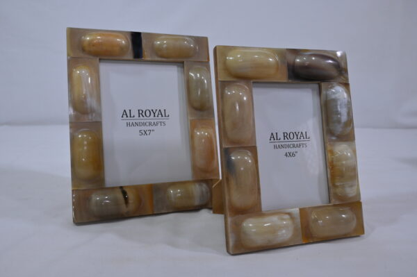Bone & Resin Photo Frame