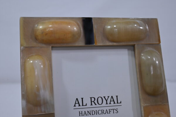 Bone & Resin Photo Frame
